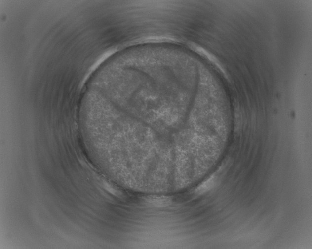 X0000078301170200612011827