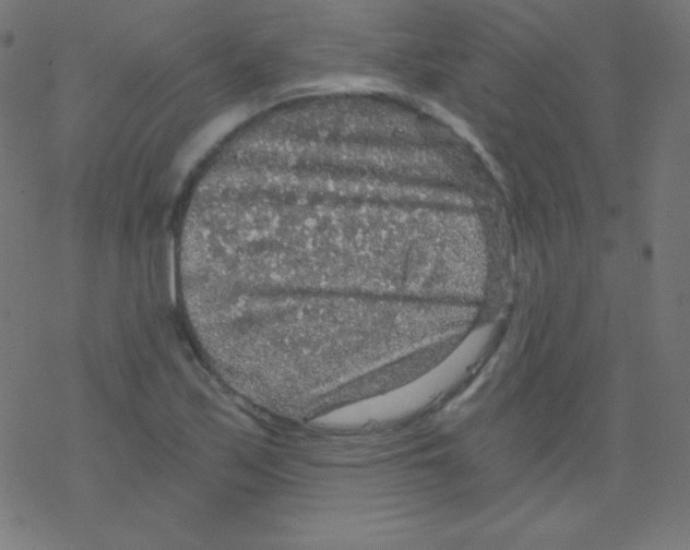 X0000078301171200612011827