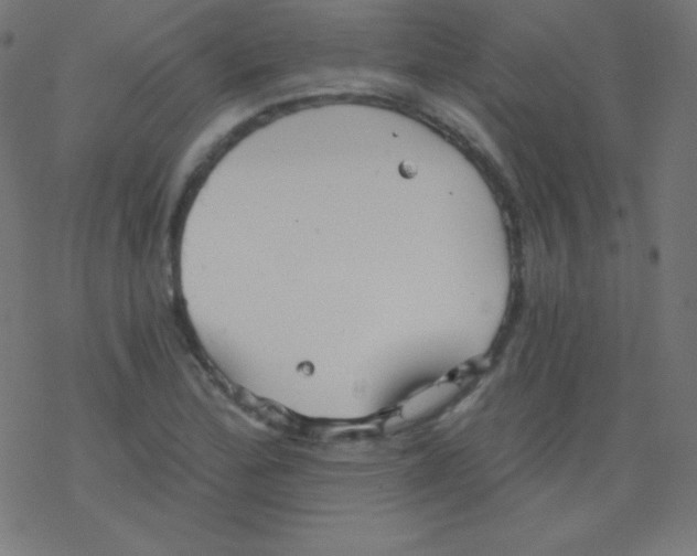 X0000078301172200612011827