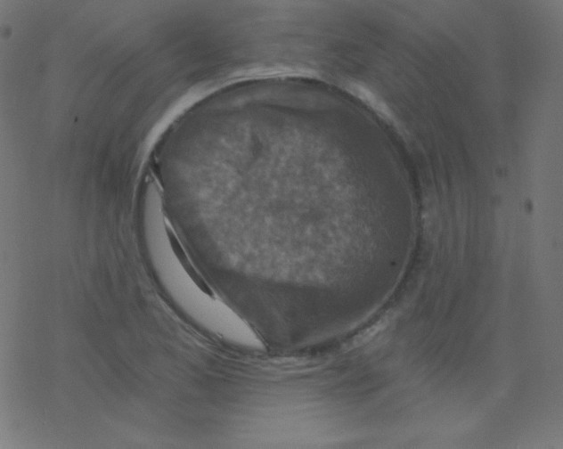 X0000078301173200612011827