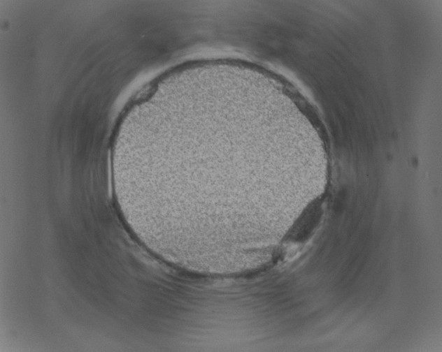 X0000078301175200612011827