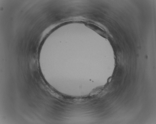 X0000078301176200612011827