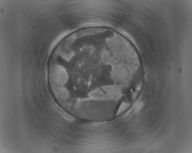 X0000078301179200612011827