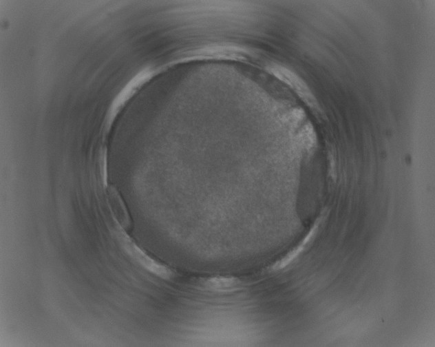 X0000078301180200612011827