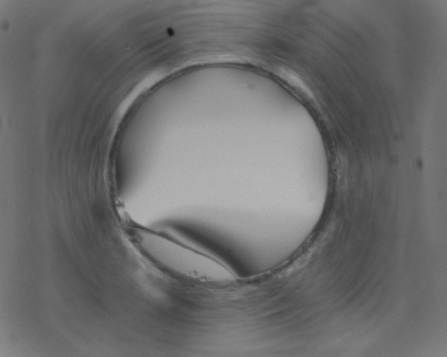 X0000078301181200612011827