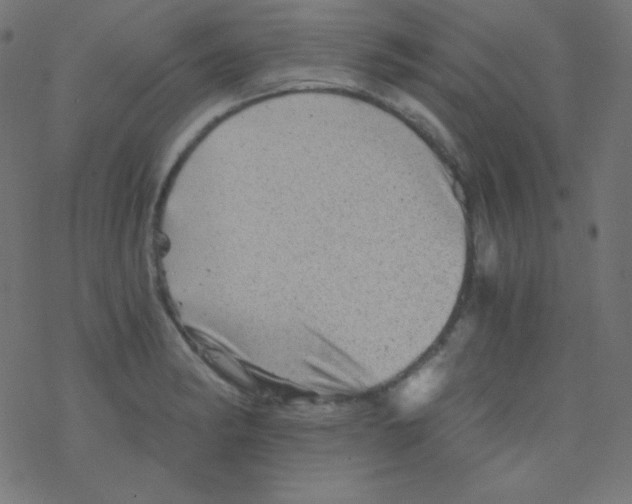 X0000078301182200612011827