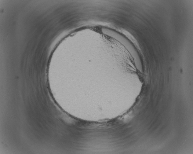 X0000078301183200612011827