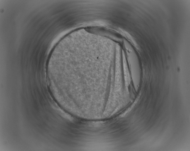 X0000078301184200612011827