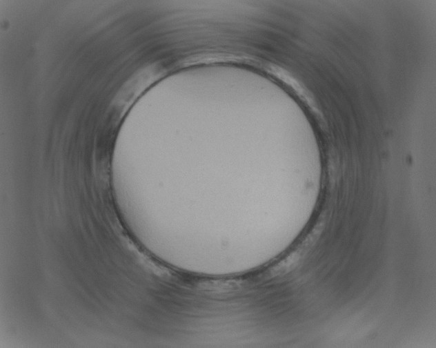 X0000078301185200612011827