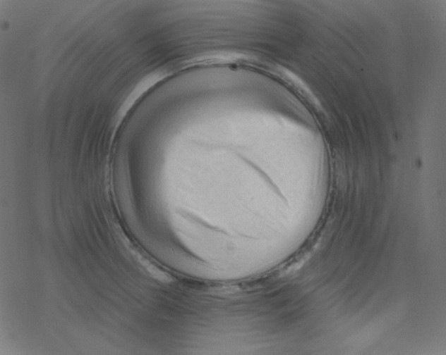 X0000078301186200612011827