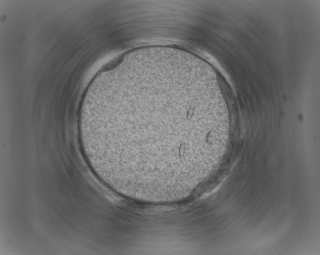 X0000078301187200612011827