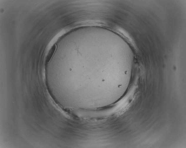 X0000078301188200612011827