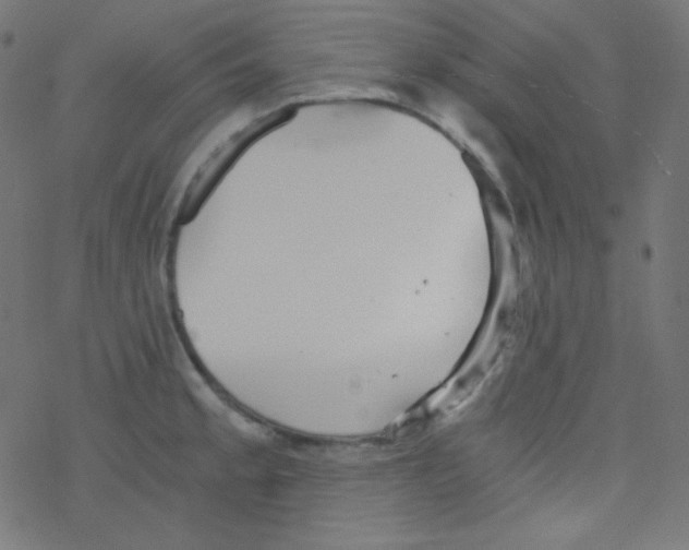 X0000078301189200612011827