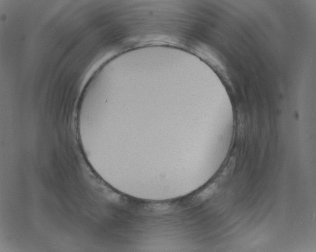 X0000078301190200612011827