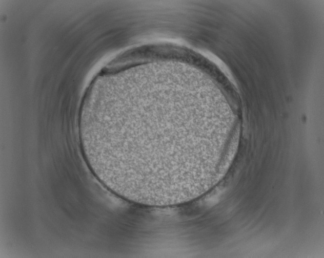 X0000078301191200612011827