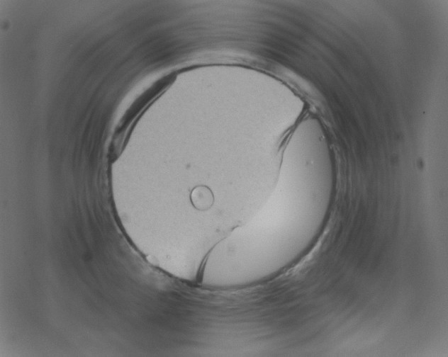 X0000078301192200612011827