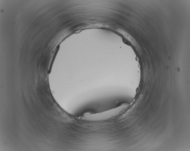 X0000078301193200612011827