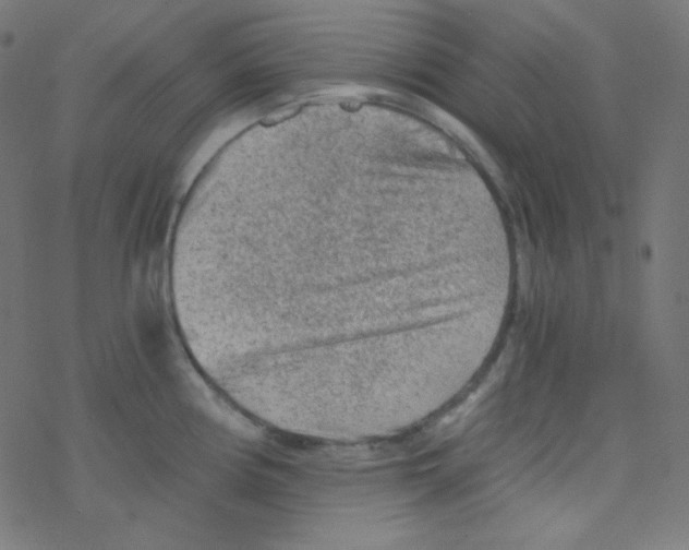 X0000078301194200612011827