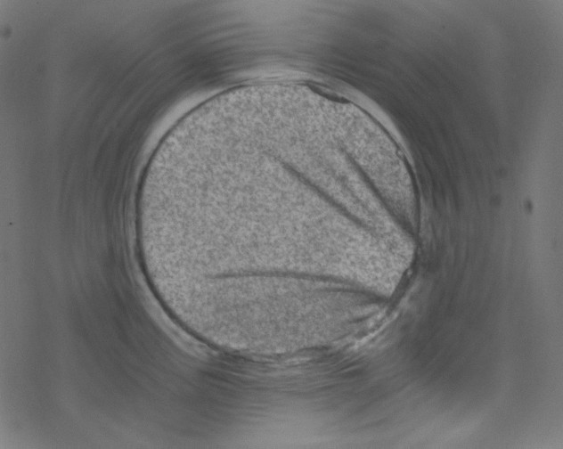 X0000078301195200612011827