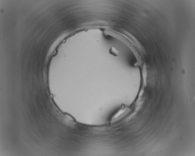 X0000078301196200612011827