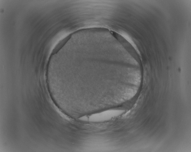 X0000078301197200612011827