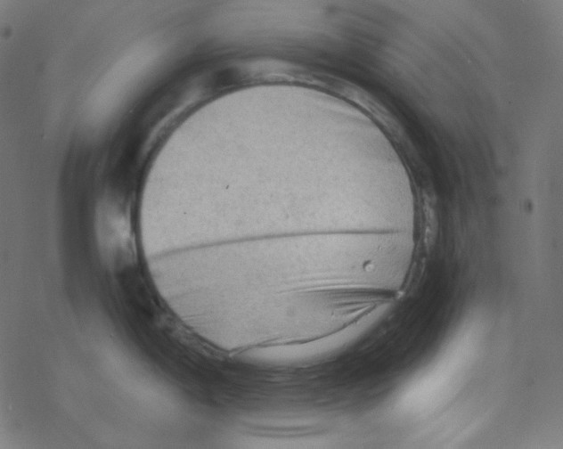 X0000078301198200612011827