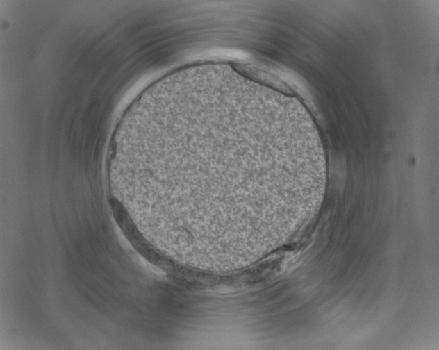 X0000078301199200612011827