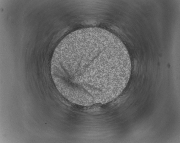 X0000078301201200612011826