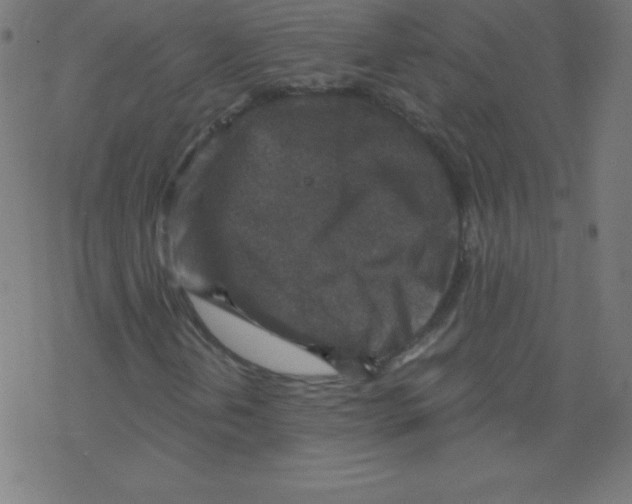 X0000078301202200612011826