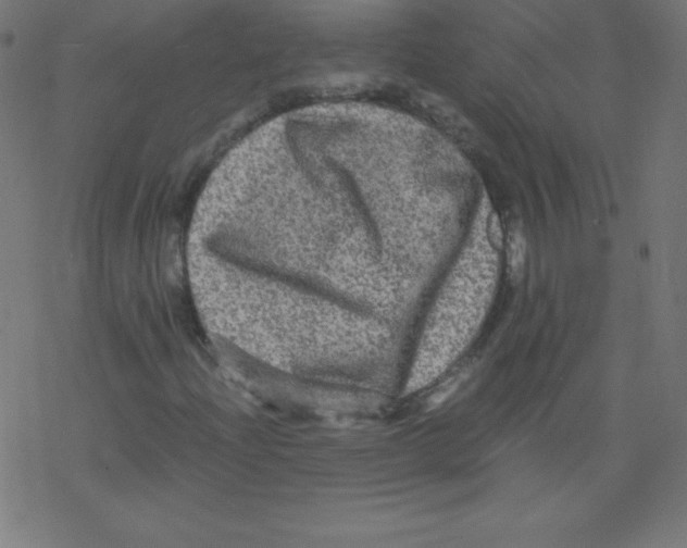 X0000078301204200612011826