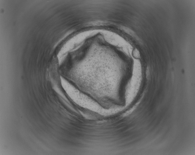 X0000078301209200612011826