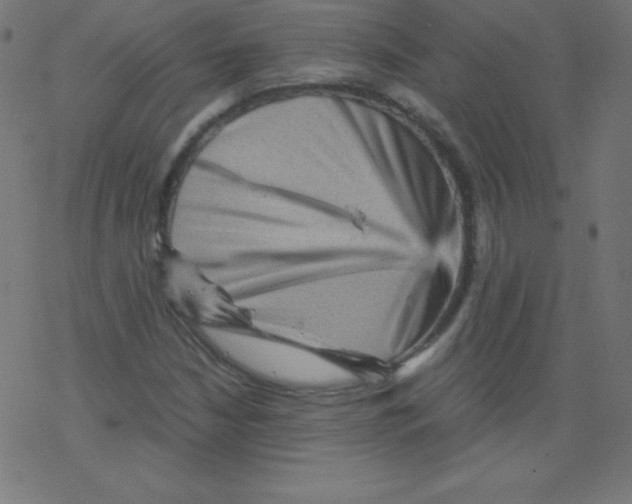 X0000078301210200612011826