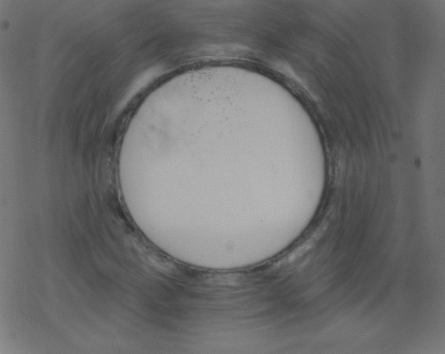 X0000078301211200612011826