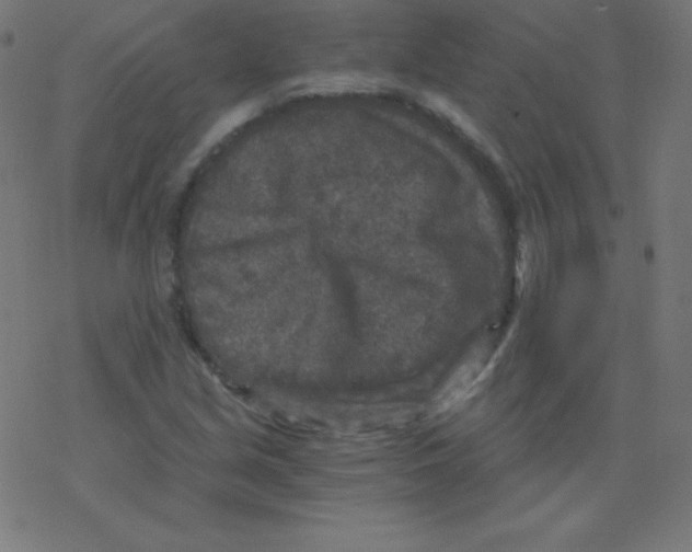 X0000078301213200612011826