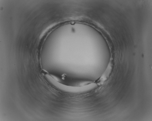 X0000078301214200612011826