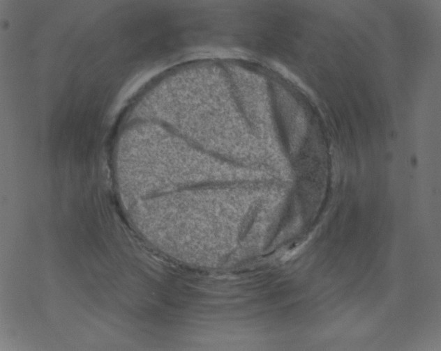 X0000078301215200612011826