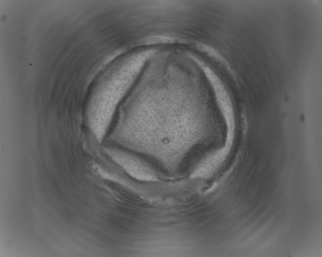 X0000078301217200612011826