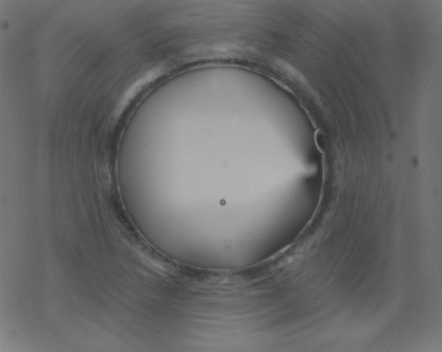 X0000078301218200612011826