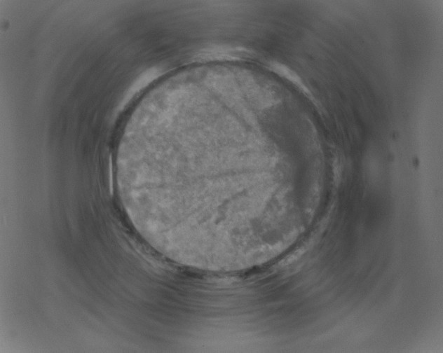 X0000078301219200612011826