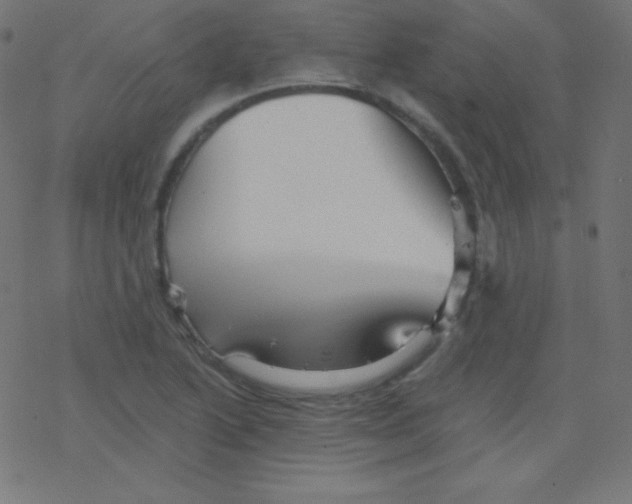 X0000078301222200612011826