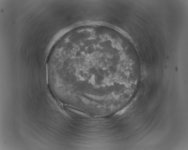 X0000078301223200612011826