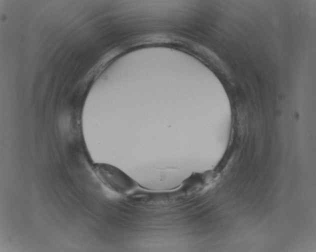 X0000078301225200612011826