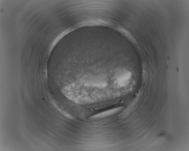 X0000078301226200612011826