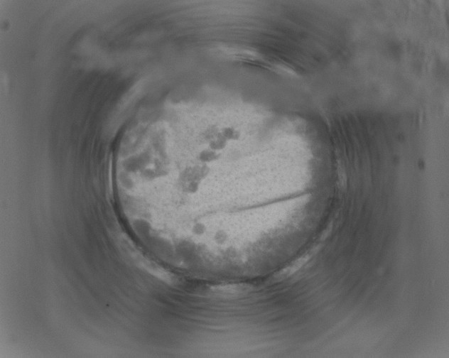 X0000078301227200612011826