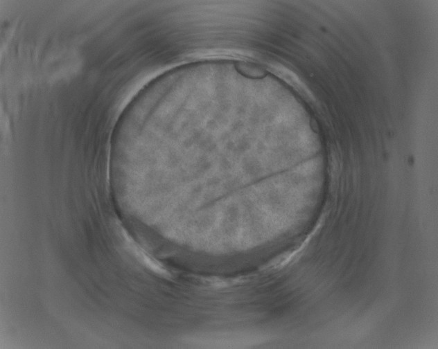 X0000078301228200612011826