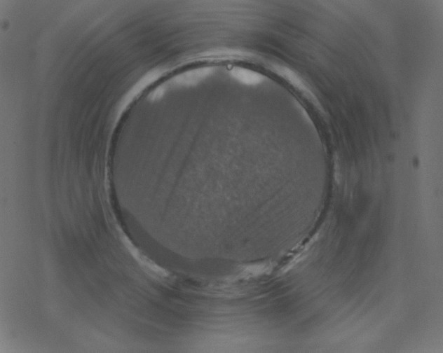 X0000078301229200612011826