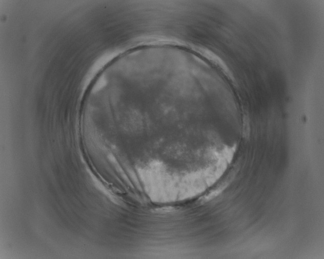 X0000078301231200612011826