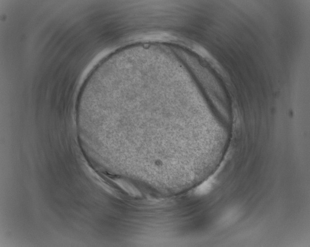 X0000078301232200612011826