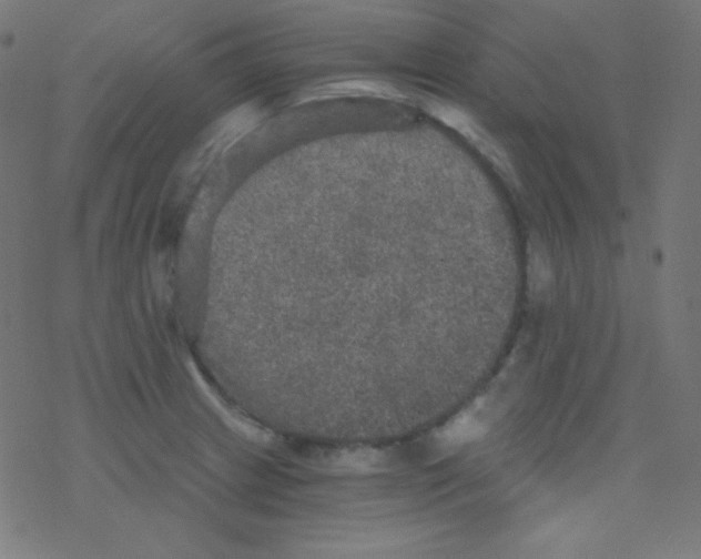 X0000078301233200612011826