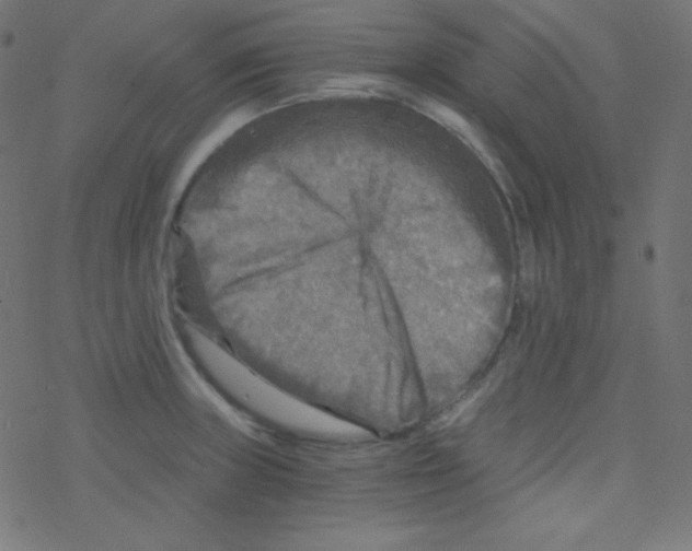 X0000078301235200612011826